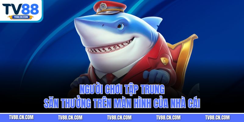 Người chơi tập trung săn thưởng trên màn hình của nhà cái